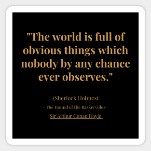 "The world is full of obvious things which nobody by any chance ever observes." Magnet